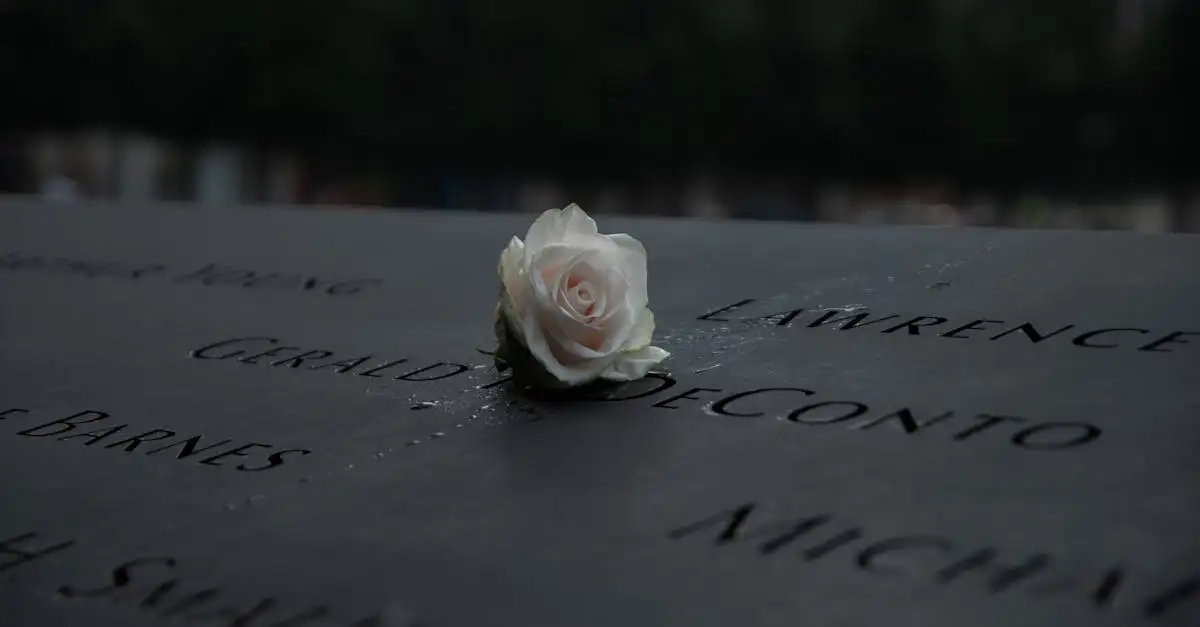 9/11 Fakten: Opferzahlen und Hintergründe der Anschläge