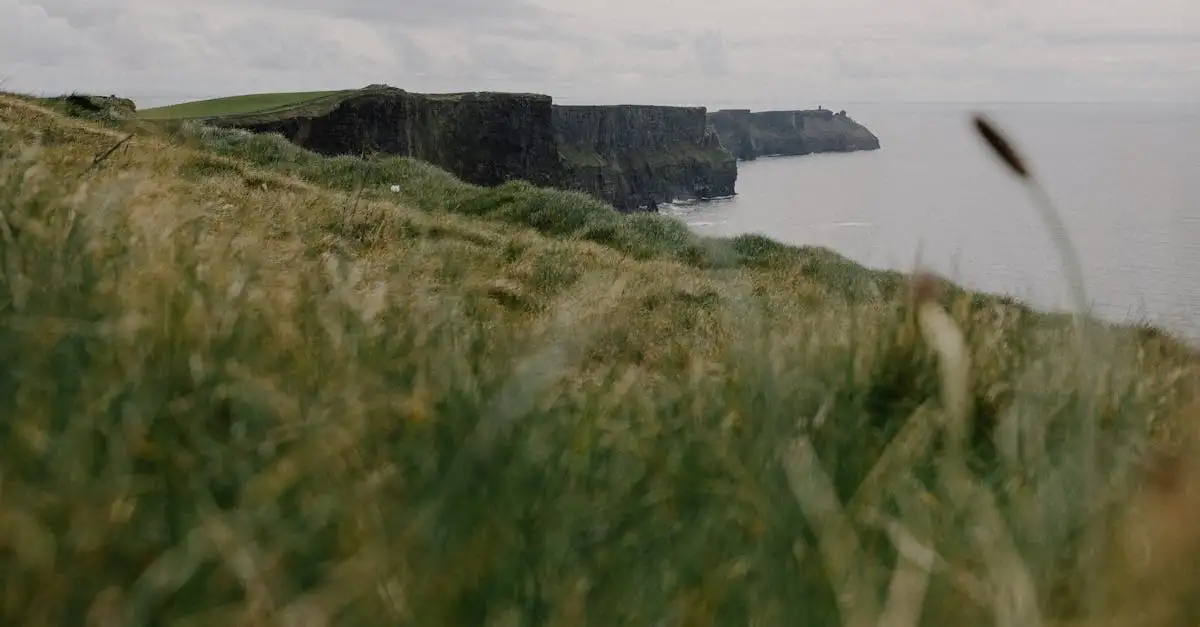 Irland wichtige Fakten: Geografie, Kultur und Geschichte
