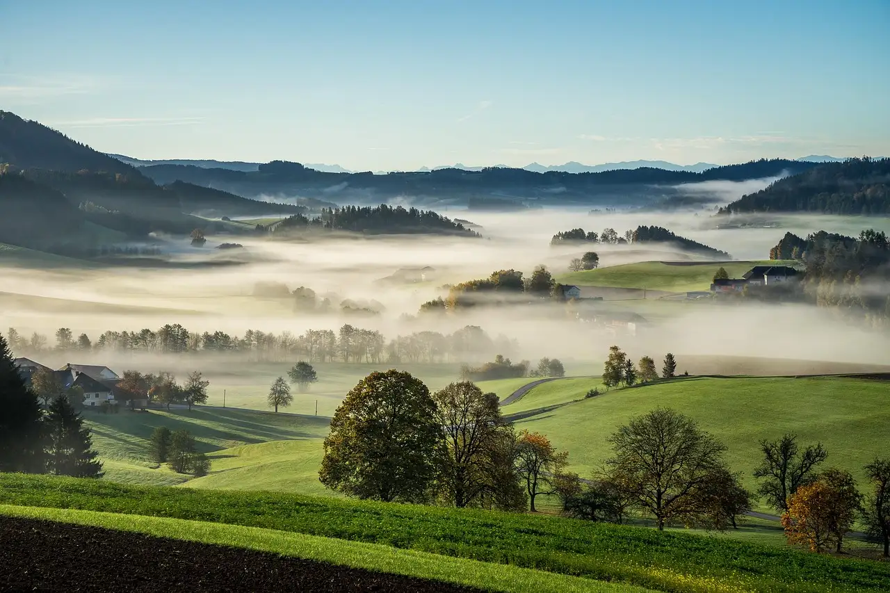 Zahlen und fakten niederösterreich