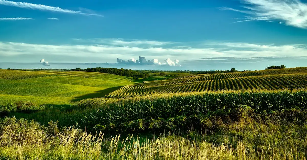 Iowa fakten