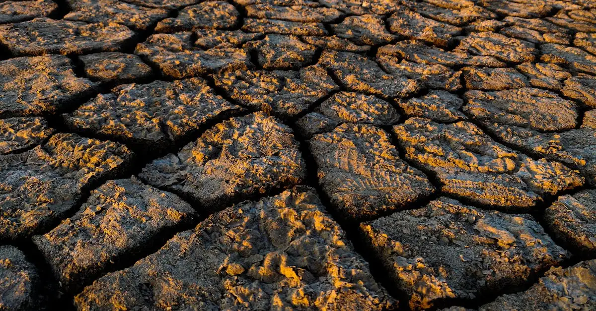 Wichtige Umweltdaten und Fakten zum Klimawandel und Umweltschutz