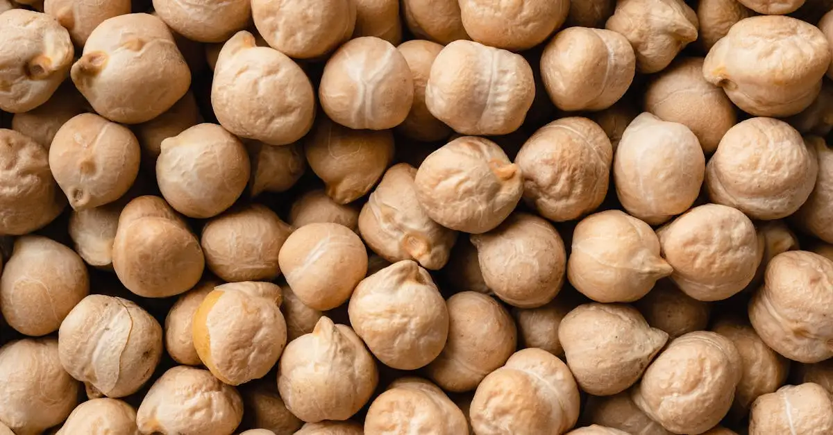 Vegane Ernährung: Fakten, Vorteile und Mythen aufgedeckt