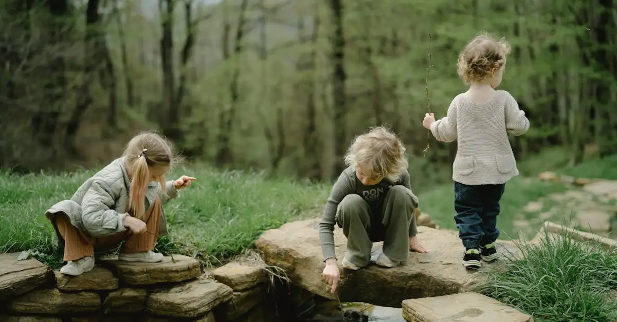 Wald fakten für kinder