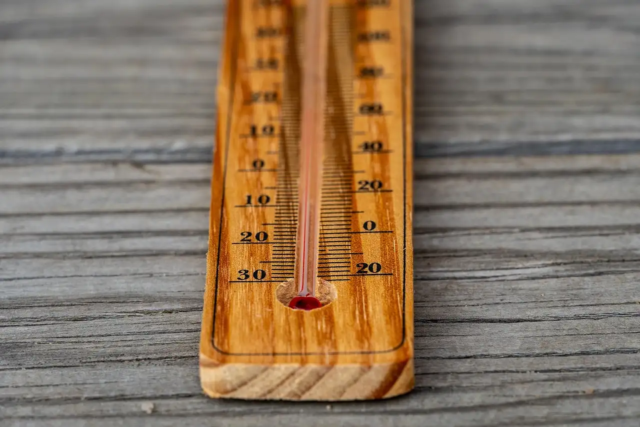 Warmgemäßigtes klima fakten
