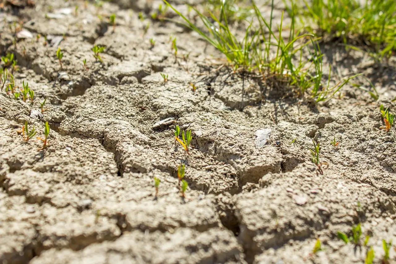 Wasserknappheit weltweit fakten