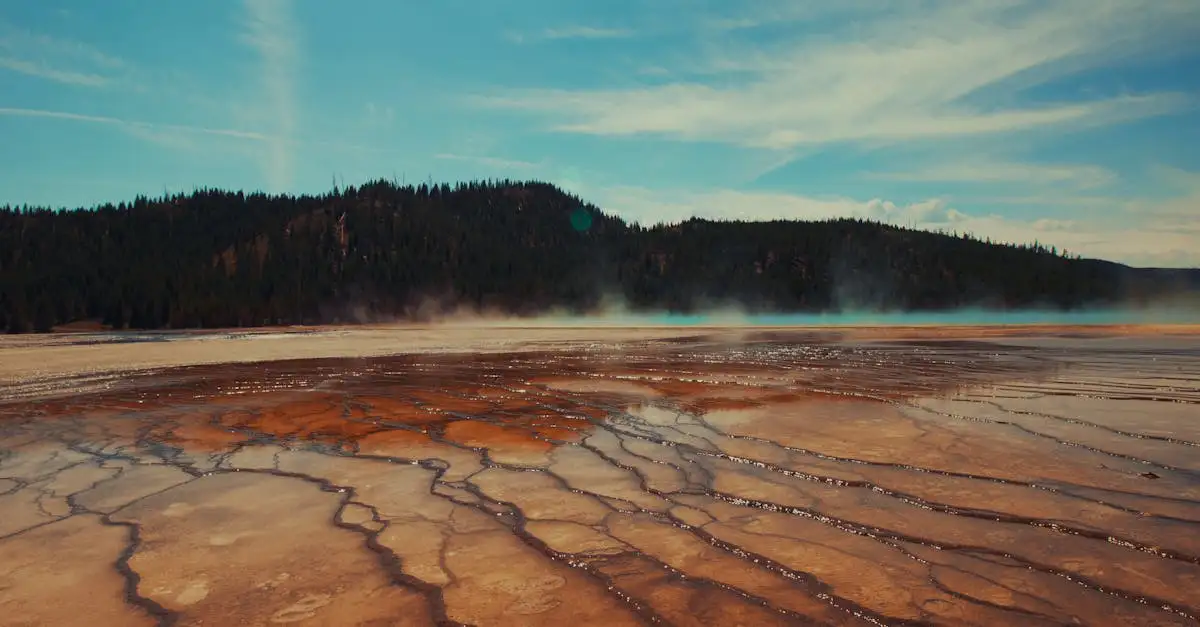 Fakten yellowstone national park